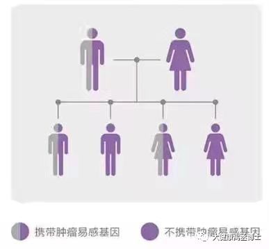 健康托付，關愛彼此 腫瘤基因檢測在療養(yǎng)院中的守護與溫度