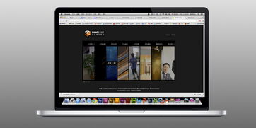 思奕偉業(yè)官網(wǎng)國際站設計 以簡潔大氣構(gòu)筑全球商業(yè)橋梁